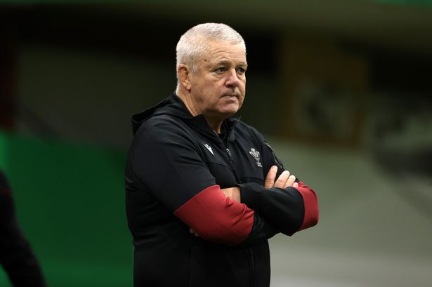 Wales international defends Gatland over ‘sinking ship’ comments and says regions and WRU both at fault