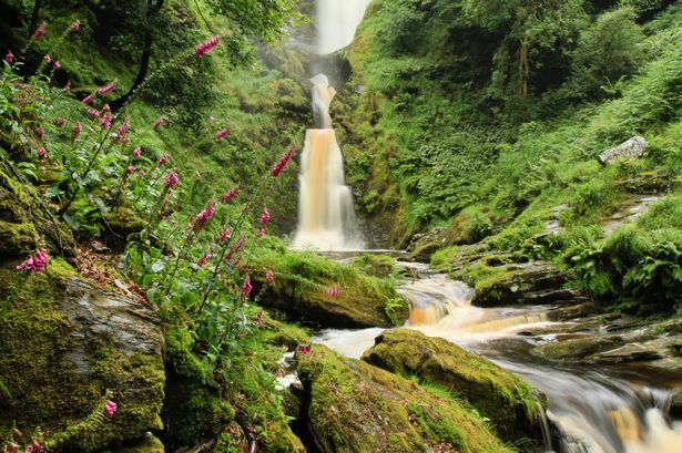 Warm up in a rustic tearoom after visiting this mesmerising fairytale waterfall