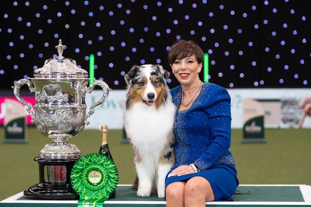 Crufts 2024: Best in Show winner revels in emotional hometown triumph on famous green carpet