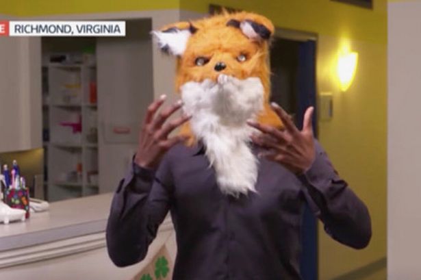 GMB viewers in hysterics as presenter gets head stuck in fox costume ...