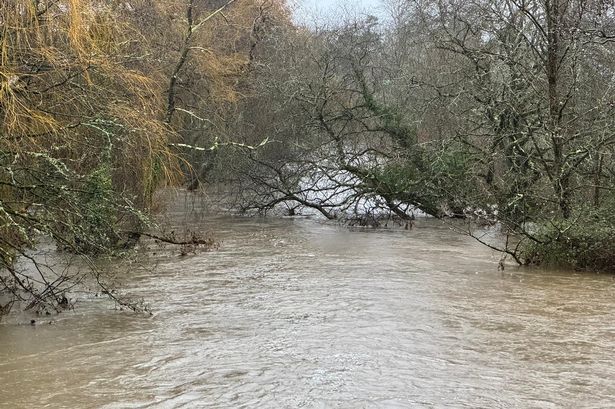 Warning of properties at risk from flooding as multiple alerts cover Wales after night of torrential rain
