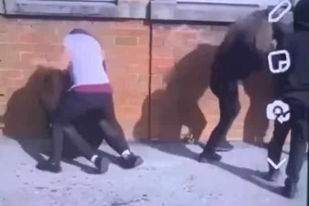 Llanelli school reassures parents after viral video of girls in vicious fight sparks online claims