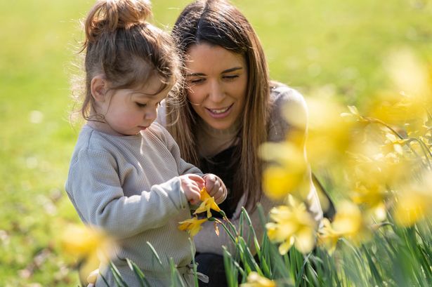 AD FEATURE: Family Days out this Easter with National Trust Cymru