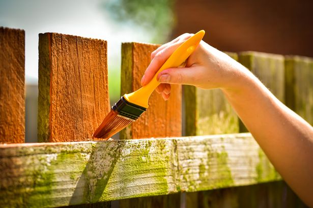 Cheap fence trick will make your garden look ‘much bigger’ this spring
