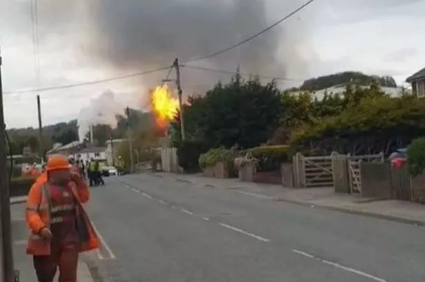 Chemical explosion sparks warning for pet owners