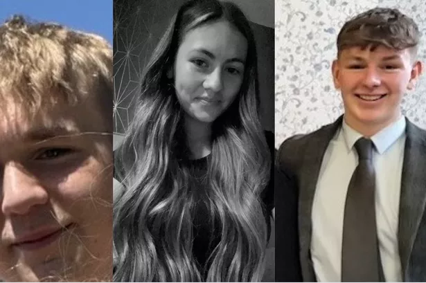 Family tributes to three teenagers killed in tree crash