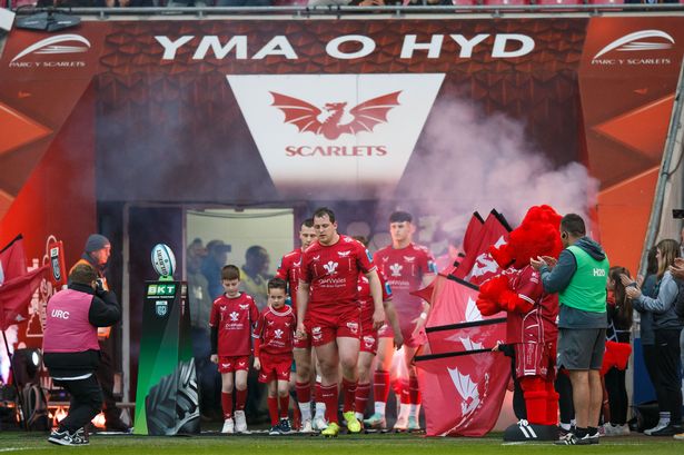 Scarlets forced to issue appeal after fans on pitch take important items