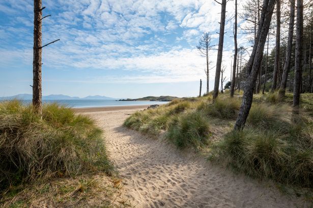 Tourists think this tiny beach leading out of the woods is ‘one of the best in the UK’