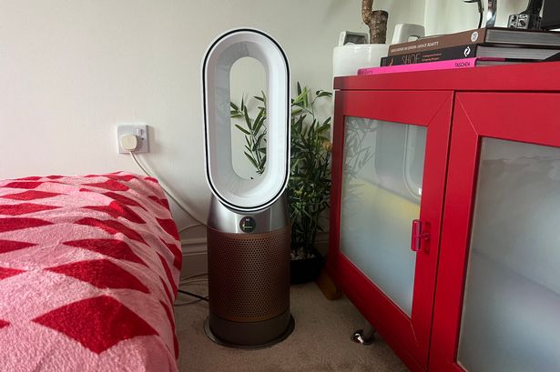 Dyson’s air purifier transformed my home into a pollen allergy-free zone