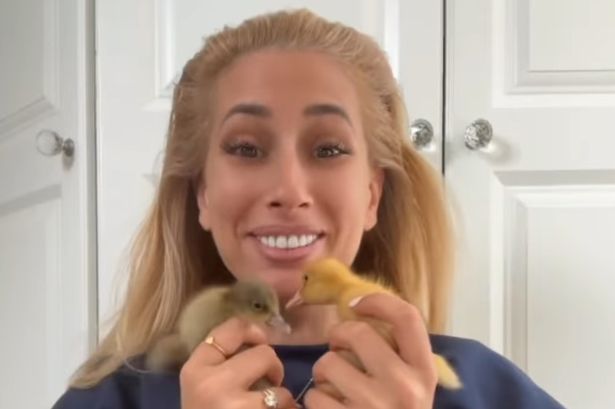 Stacey Solomon wants to buy surprising farm animal following family’s newest arrival