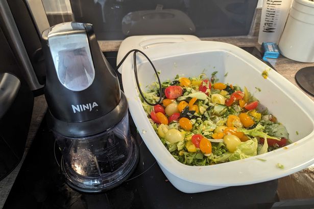 I tested the £30 Ninja Professional food chopper and it’s worth every penny for time saved