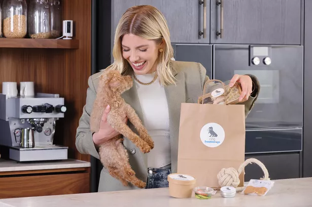 Takeaway service for dogs keeps pets happy while you’re out