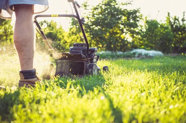 Gardeners given heatwave lawn mowing warning