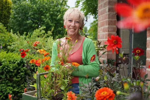 Gardener’s World icon Carol Klein reveals cancer news after getting ‘call from surgeon’
