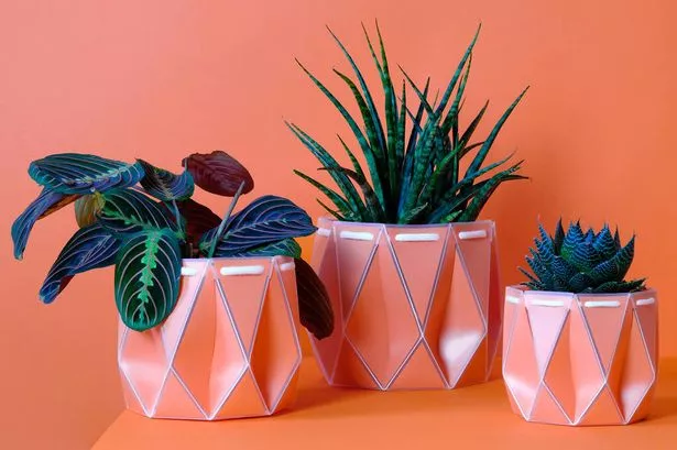 This £20 self-watering plant pot won at Chelsea Flower Show and helps your plants thrive