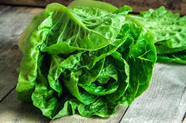 50p trick which stops salad greens spoiling and keeps them fresh for 10 days